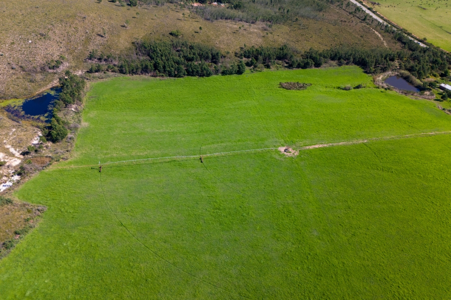 0 Bedroom Property for Sale in Kareedouw Eastern Cape